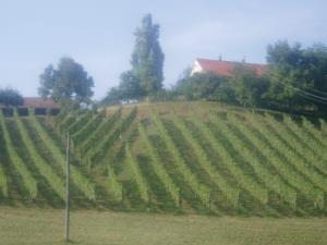 Kmetija Mukenauer 2